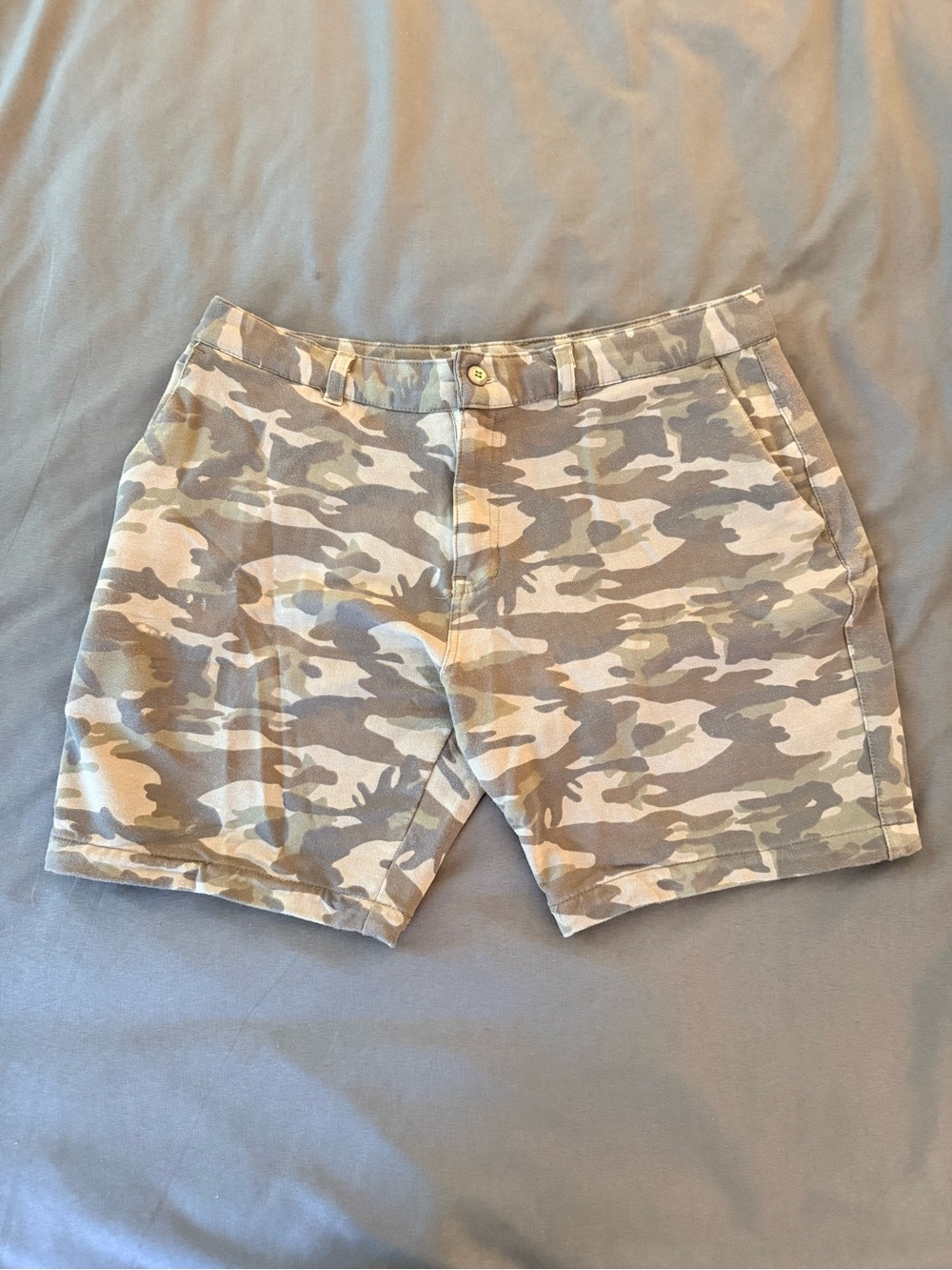 Slate & Stone Beige and Olive Camo Cargo Shorts